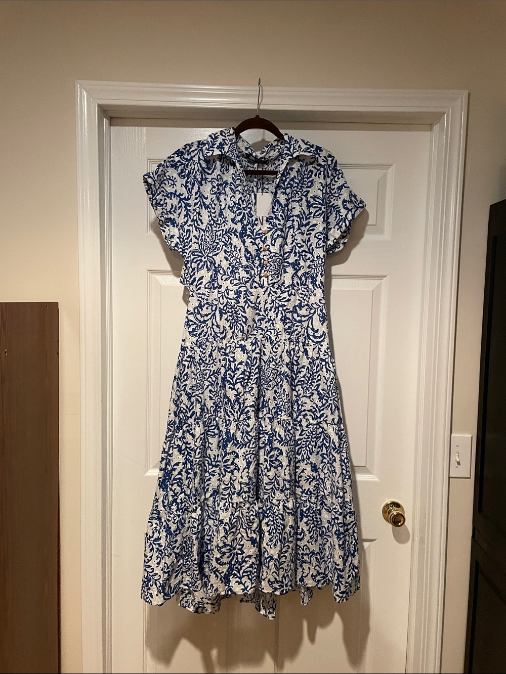 Zara Blue and White Floral Maxi Dress